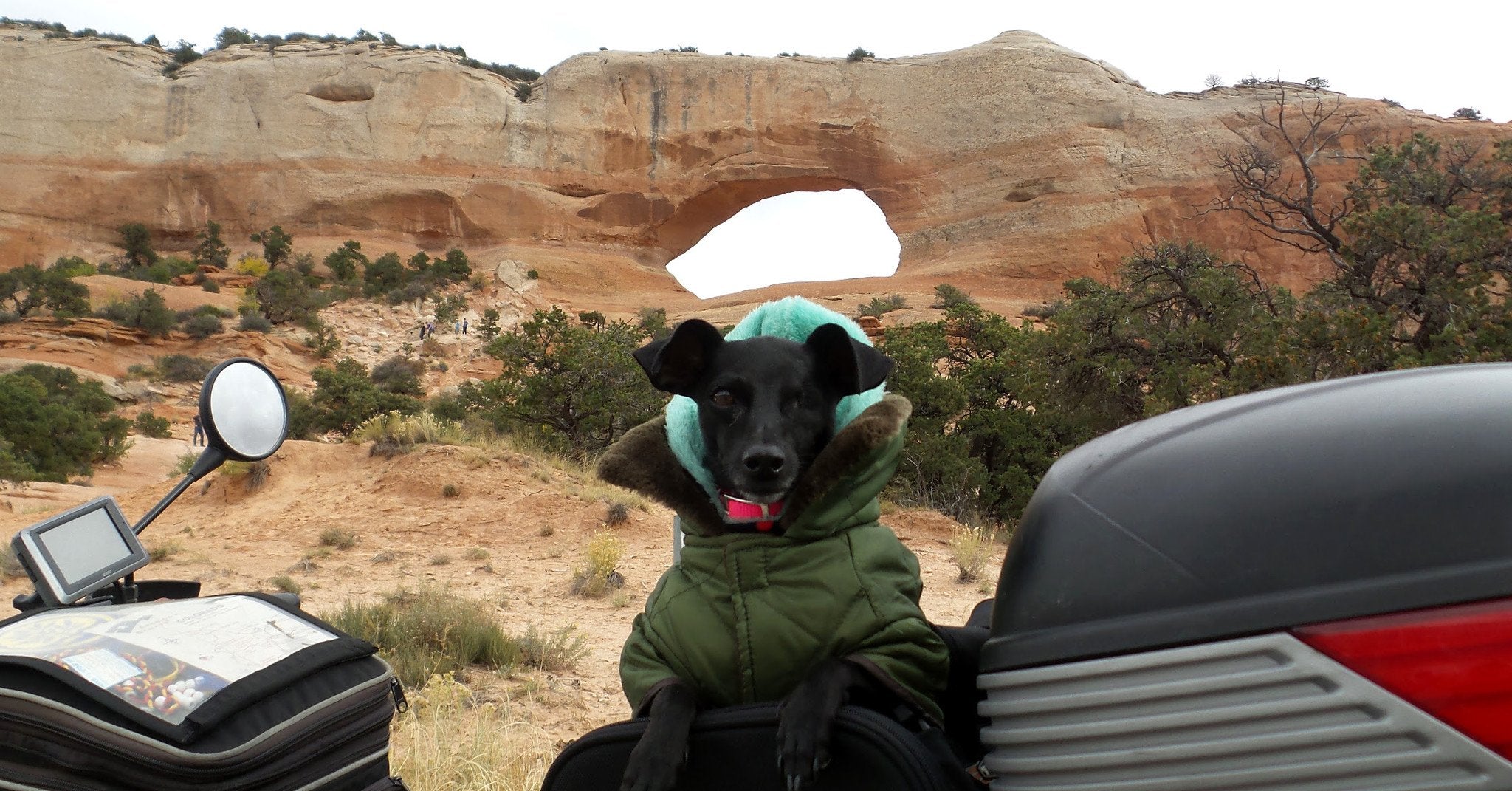 T-bags Motorcycle Pet Carrier