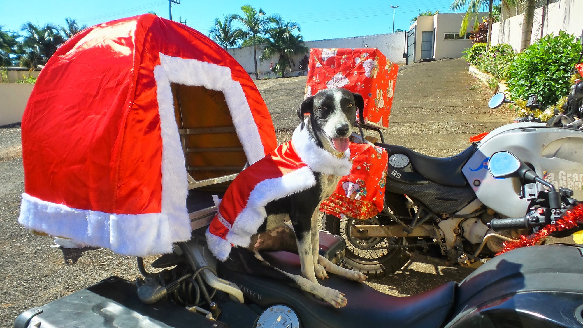 The Pack Track love celebrating Christmas. Janell went all out hand making the Christmas covers for panniers, topbox, Pillion Pooch and Weeti's jacket.