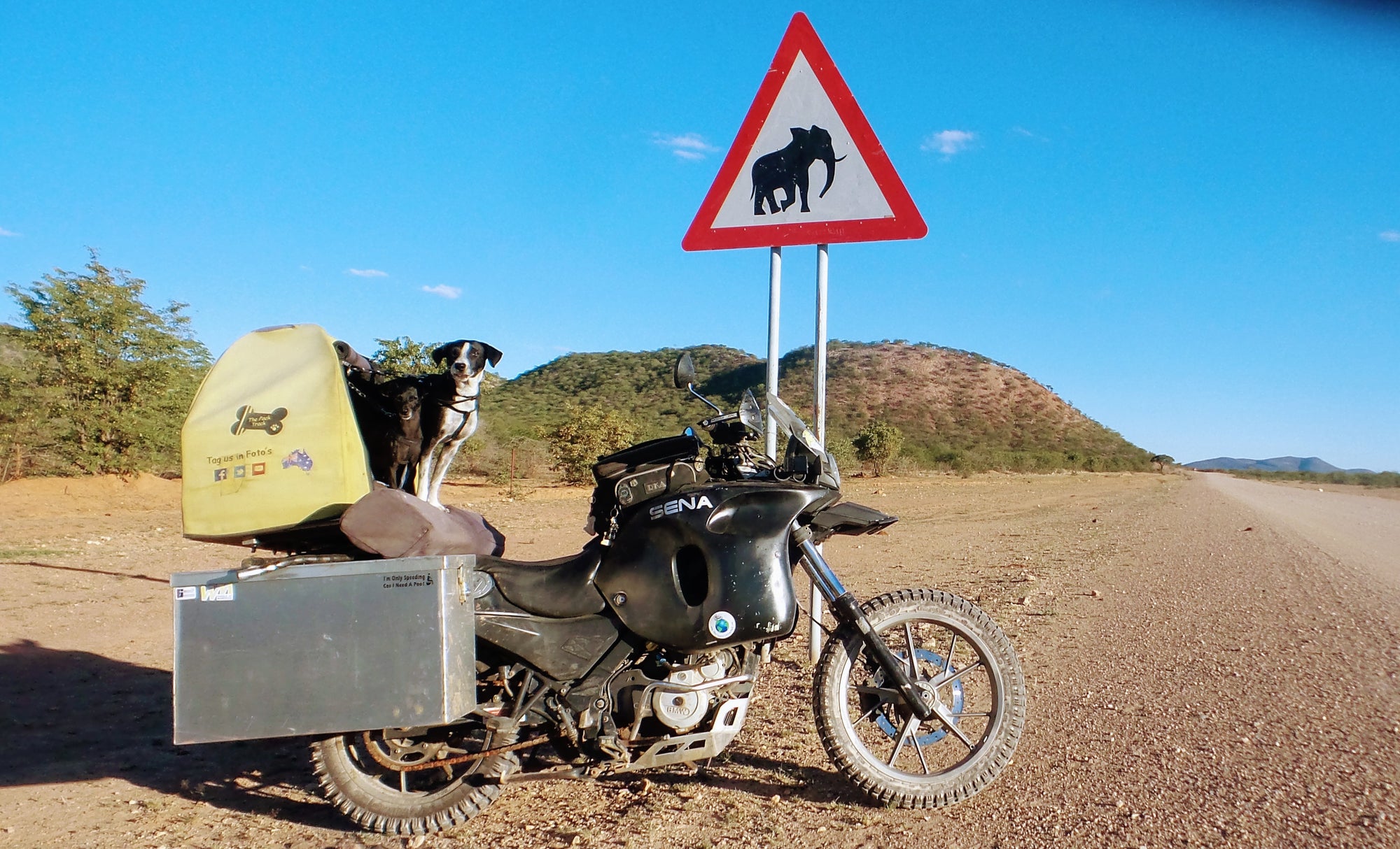 Our search for Elephants started in Burkina Faso. Pictured here is Weeti and Shadow on the lookout in Namibia. We actually didn't see wild Elephants until Zimbabwe.
