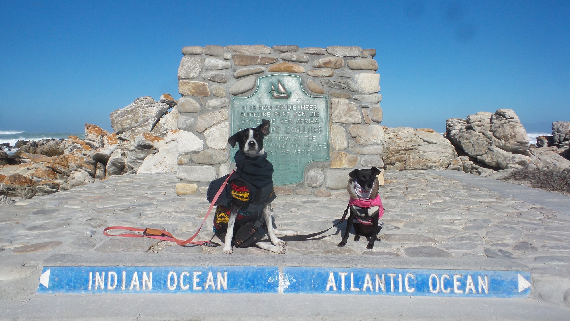The Pack Track rode from Morocco to South Africa. Pictured here our biker dogs Weeti and Shadow at the point where the Indian Ocean meets the Atlantic Ocean.