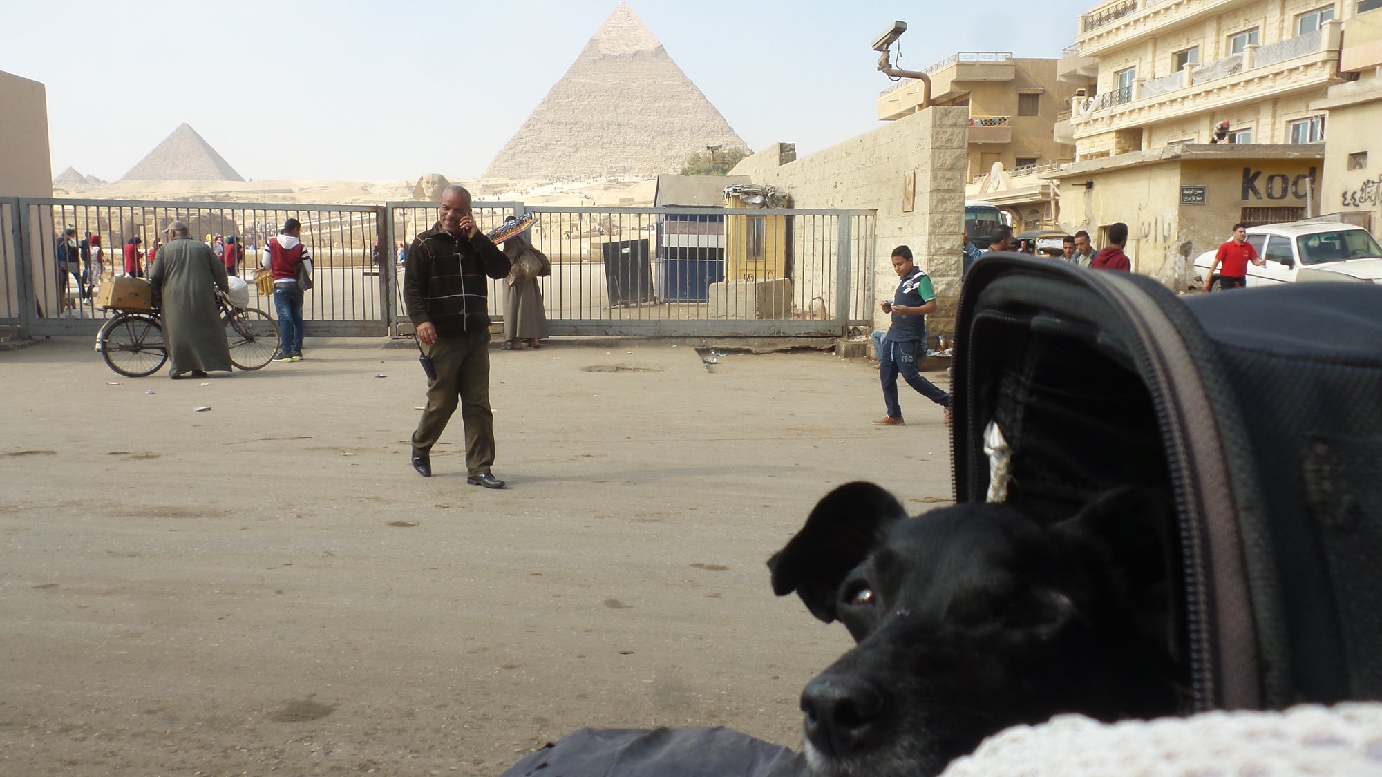 Pets are not allowed into the site of the Great Pyramid of Giza in Egypt so The Pack Track pulled up on the motorbikes site outside the perimeter fence for a look and a photo.