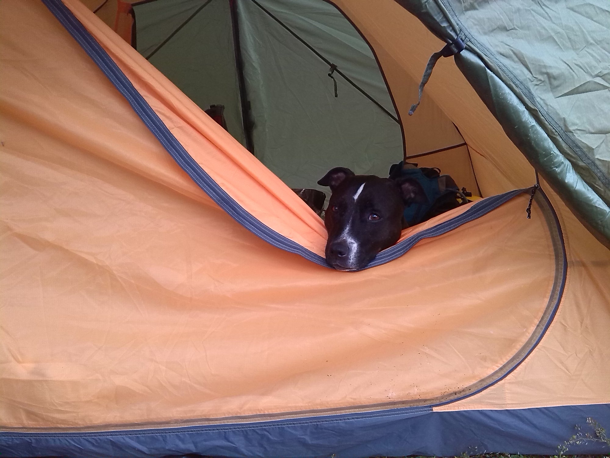 Skyla loved camping in our Exped Venus II in Texas, USA.