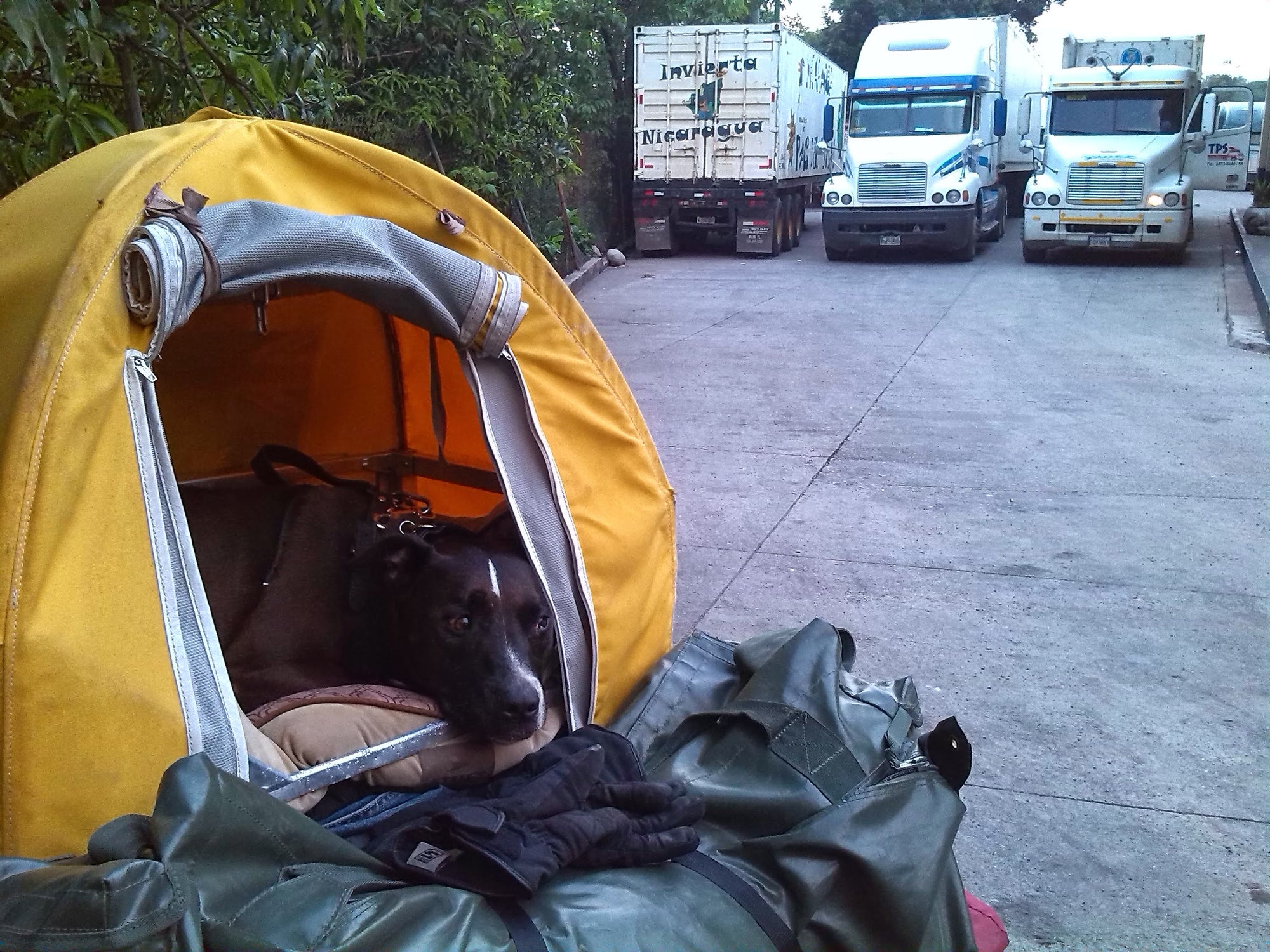 Skyla in her Pillion Pooch waiting for us while we do paperwork cross a border in Central America.