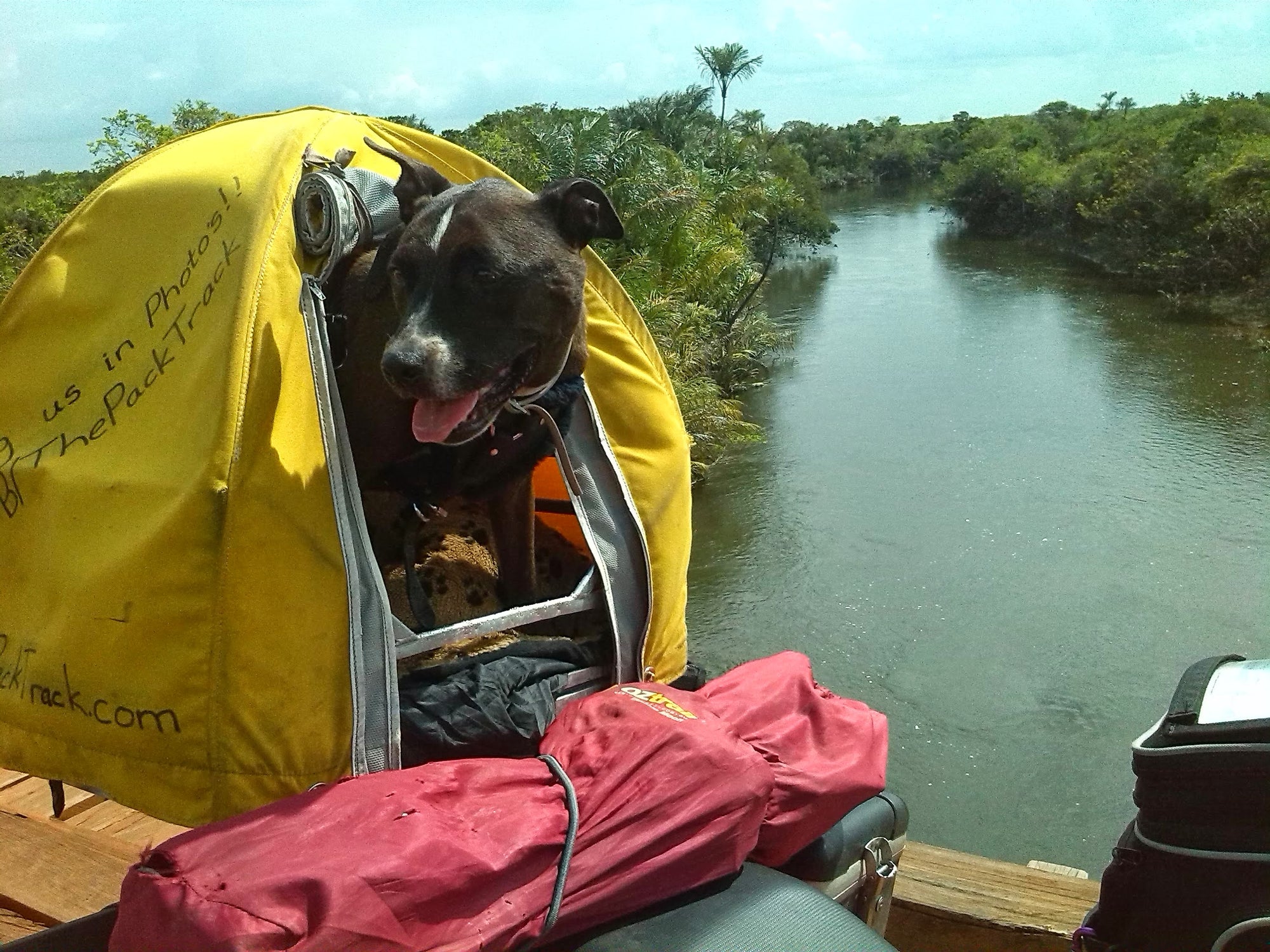 Skyla in her Pillion Pooch crossing a river in Guyana